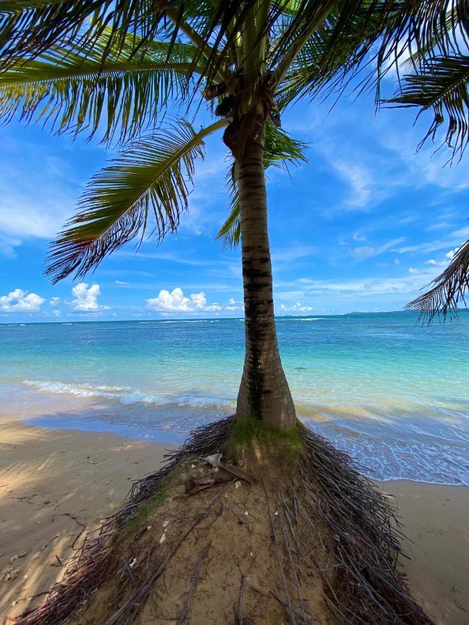 Cozy Beach Apartment Luquillo Exterior photo
